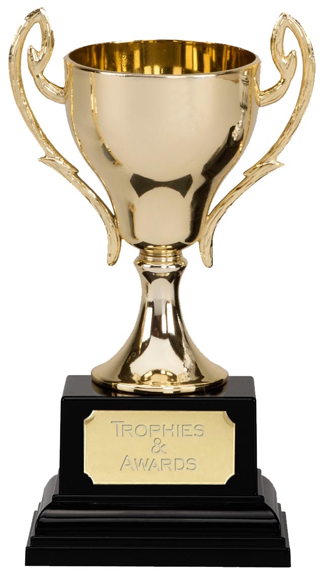 Budget Gold Metal Trophy CUP11B